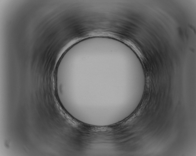 X0000091921150200709051226
