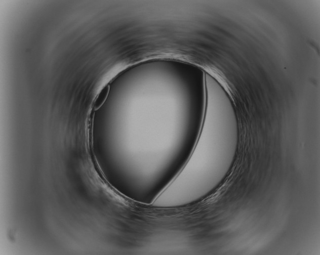 X0000091921151200709051226