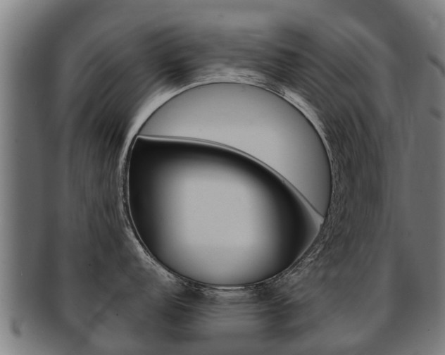 X0000091921152200709051226