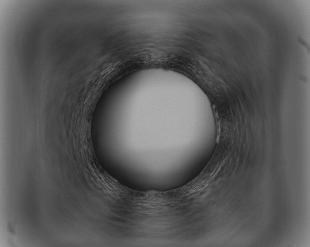 X0000091921153200709051225