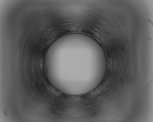 X0000091921154200709051225