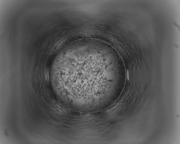 X0000091921155200709051225