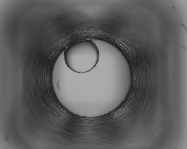 X0000091921156200709051225