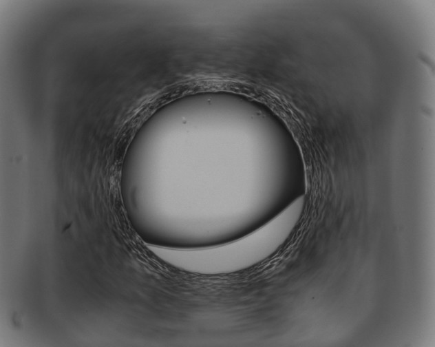 X0000091921157200709051225