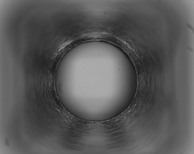 X0000091921158200709051225