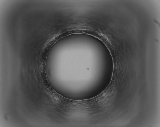 X0000091921159200709051225