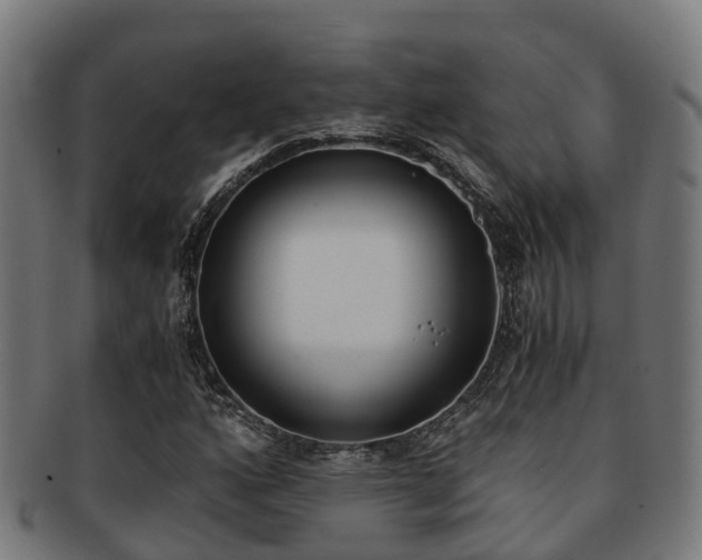 X0000091921160200709051225