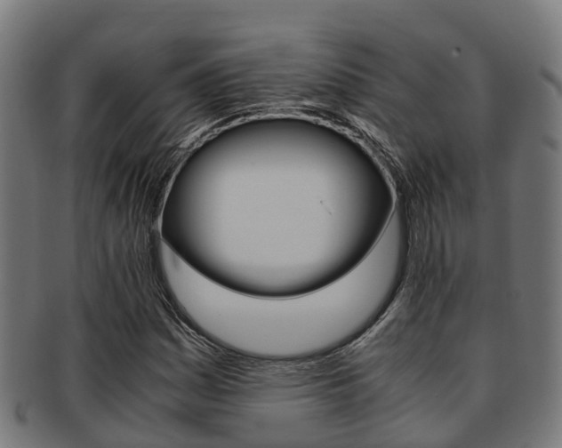 X0000091921161200709051225
