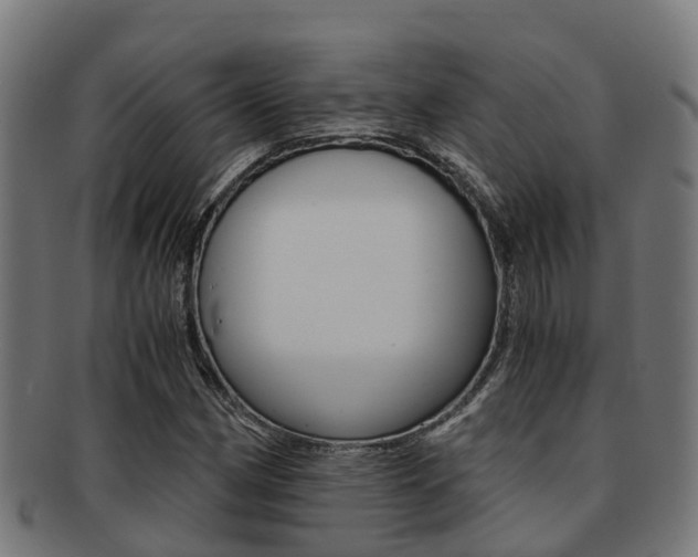 X0000091921162200709051225