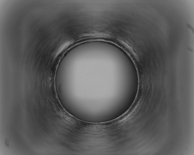 X0000091921163200709051225