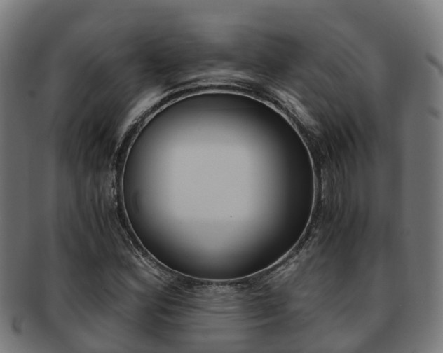 X0000091921164200709051225