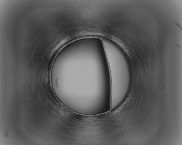 X0000091921165200709051225