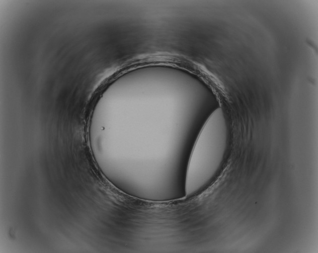 X0000091921166200709051225