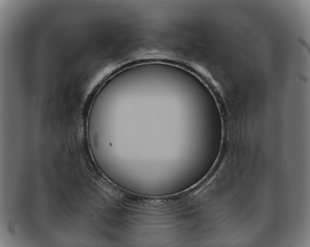 X0000091921167200709051225