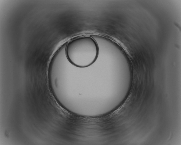 X0000091921168200709051225