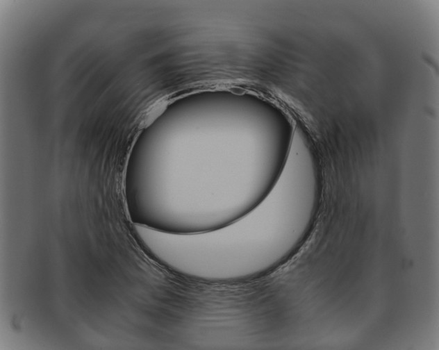X0000091921169200709051225