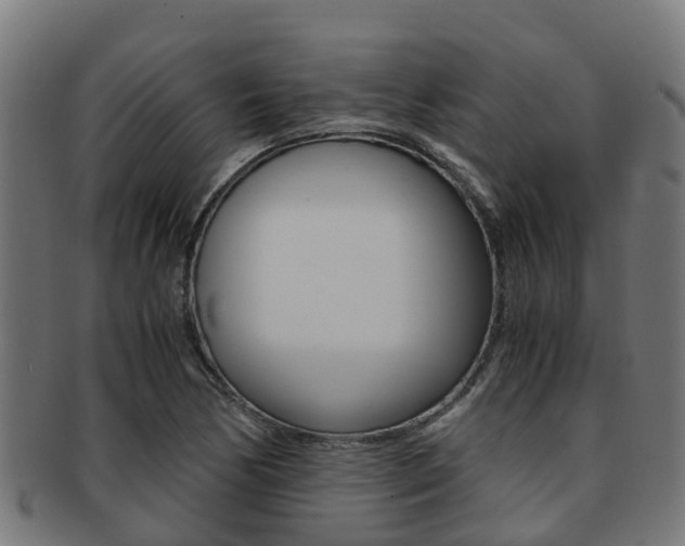 X0000091921170200709051225