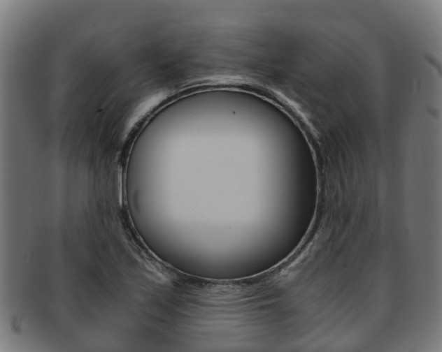 X0000091921171200709051225