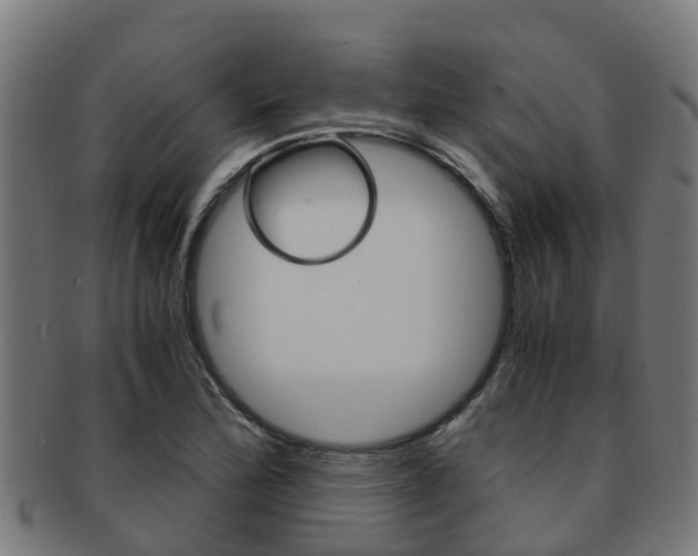 X0000091921172200709051225