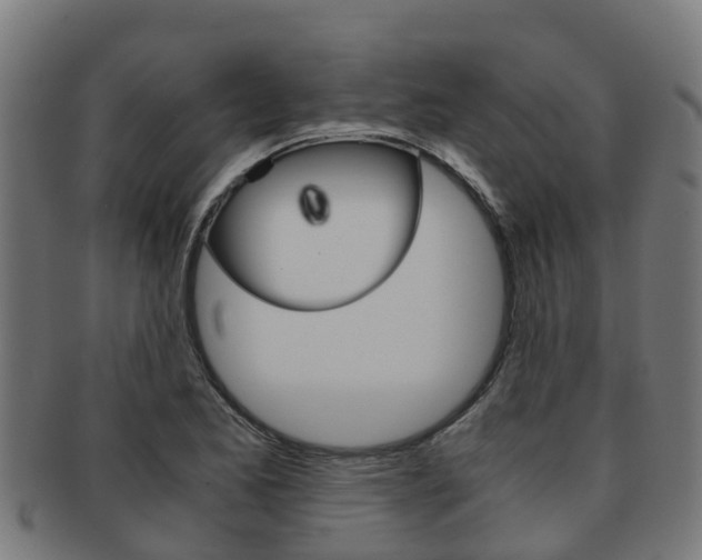 X0000091921173200709051225