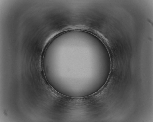 X0000091921174200709051225