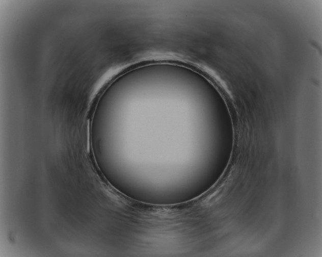 X0000091921175200709051225