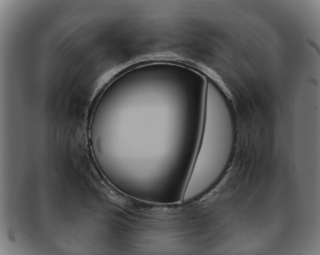 X0000091921176200709051225