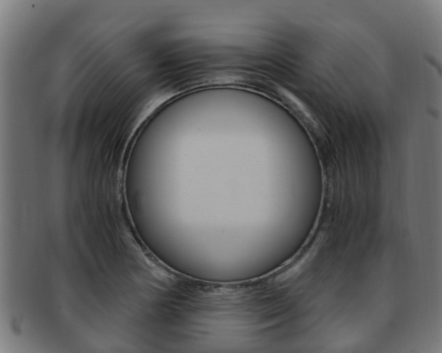 X0000091921178200709051225