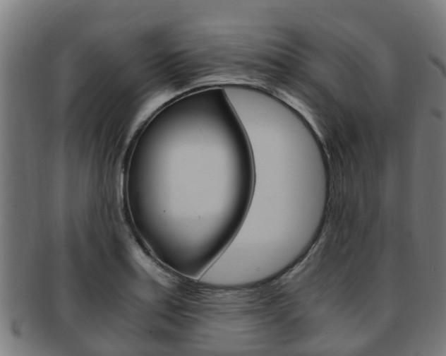X0000091921179200709051225