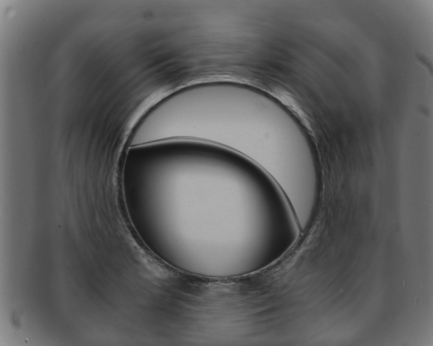 X0000091921181200709051225
