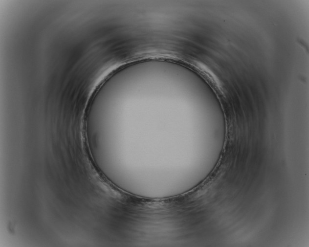 X0000091921182200709051225