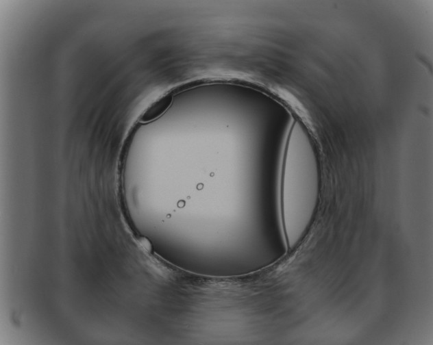 X0000091921183200709051225