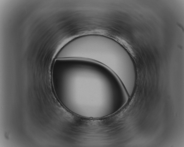 X0000091921184200709051225