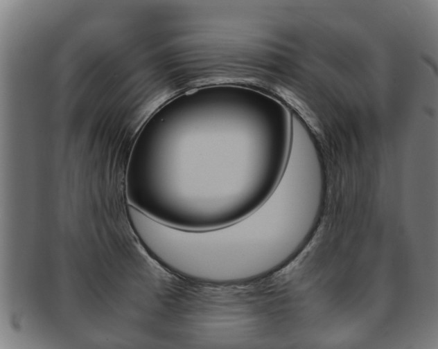 X0000091921185200709051225