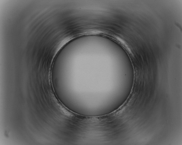 X0000091921186200709051225