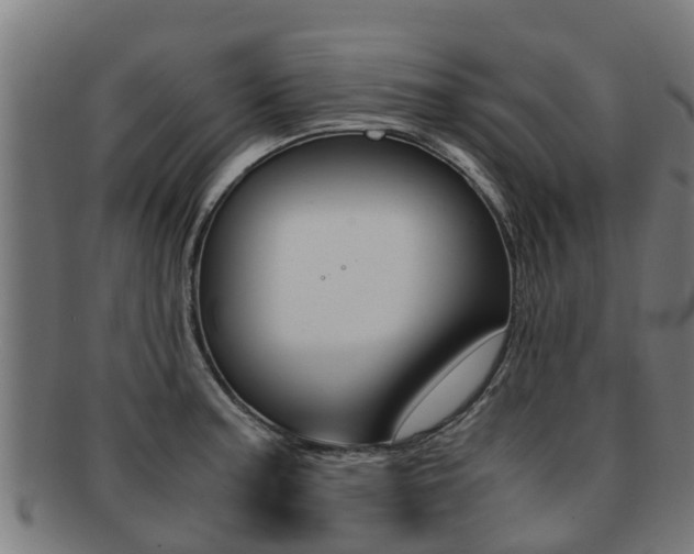 X0000091921187200709051225