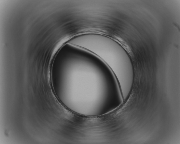 X0000091921188200709051225
