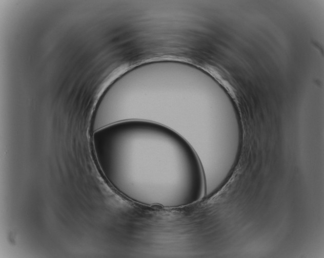 X0000091921189200709051225