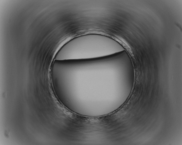 X0000091921190200709051225