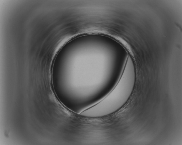 X0000091921191200709051225