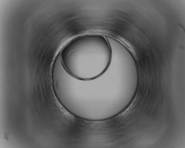 X0000091921192200709051225