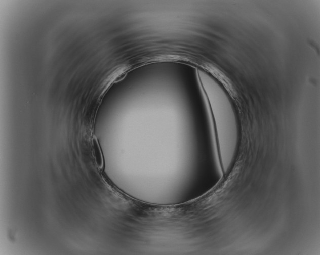 X0000091921193200709051225