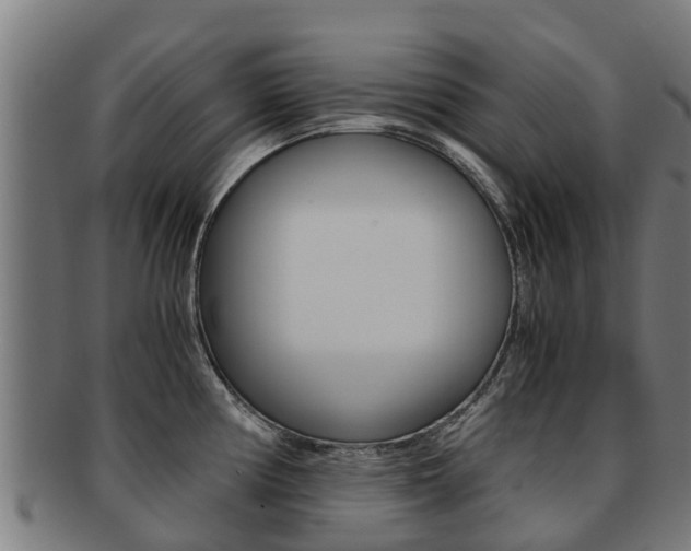 X0000091921194200709051225