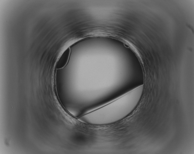 X0000091921195200709051225