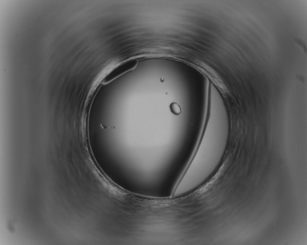 X0000091921196200709051225