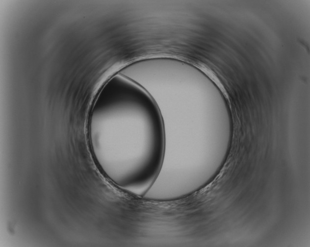 X0000091921197200709051225