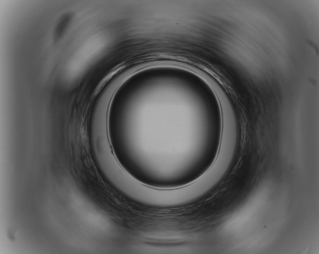 X0000091921198200709051225