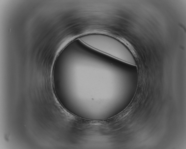 X0000091921199200709051225