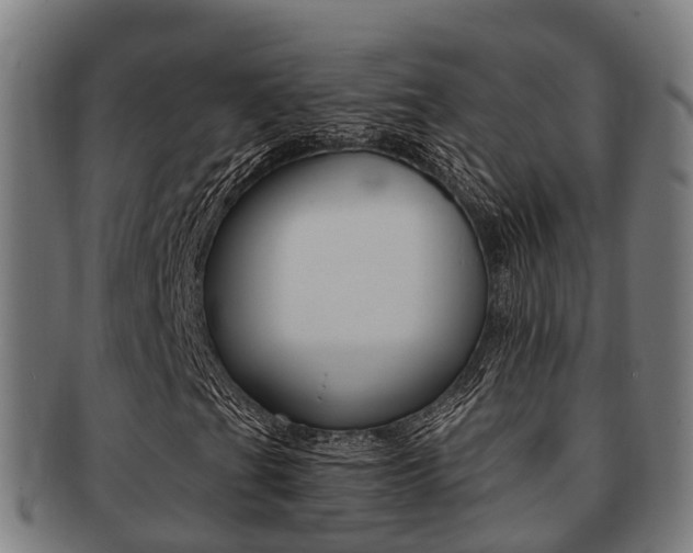 X0000091921201200709051224