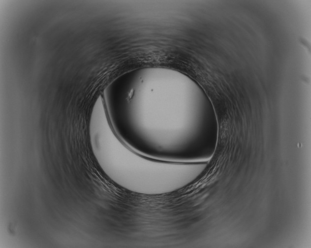 X0000091921202200709051224